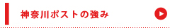 ポスティングオプション